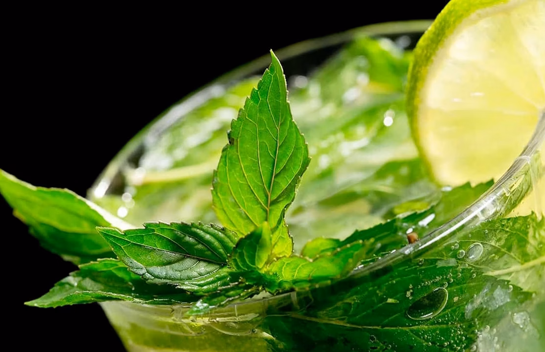 Absolut dévoile sa vodka aux accents tropicaux : Passion