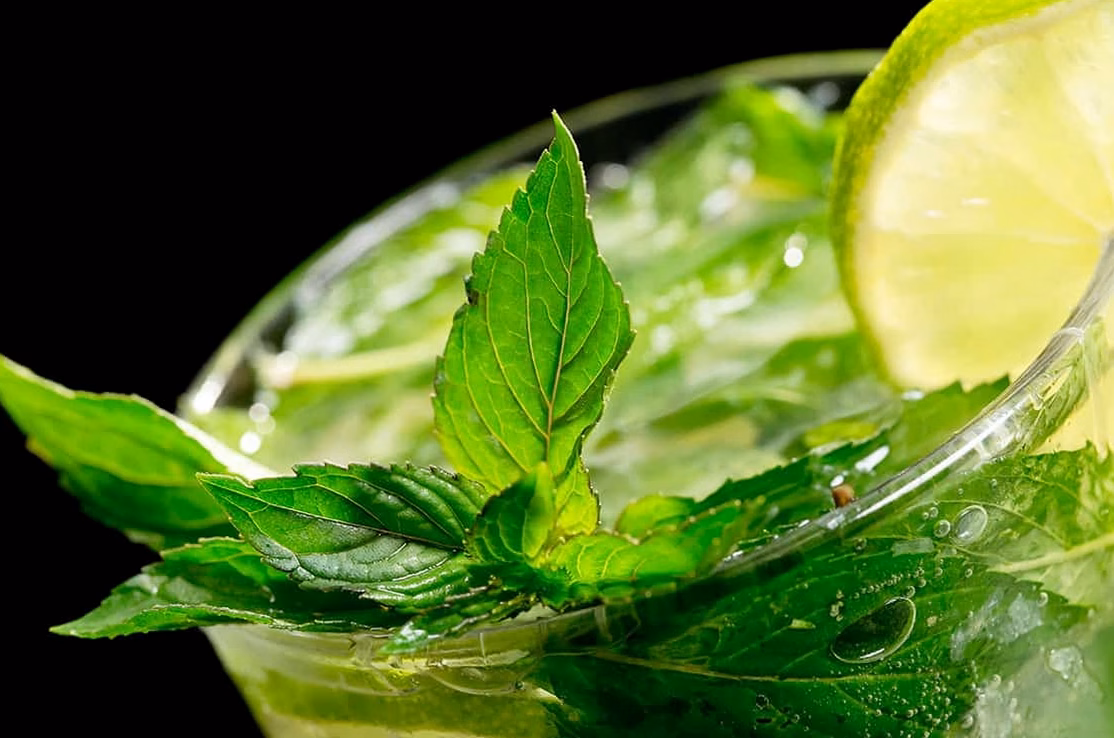 Absolut dévoile sa vodka aux accents tropicaux : Passion