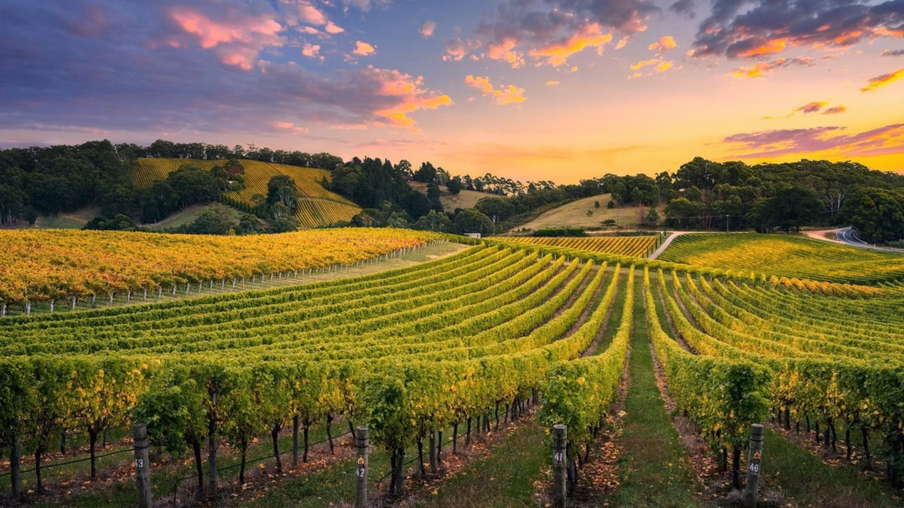 Les meilleurs accords mets-vins naturels en 2026