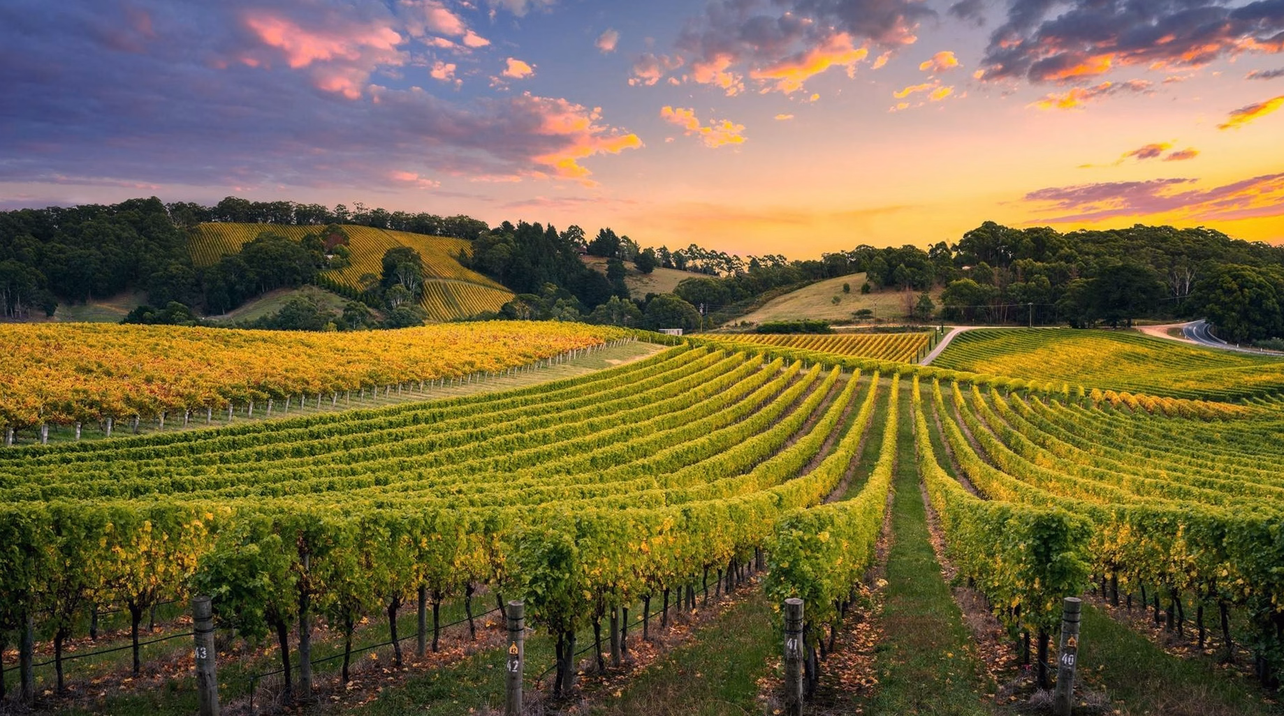 Les meilleurs accords mets-vins naturels en 2026